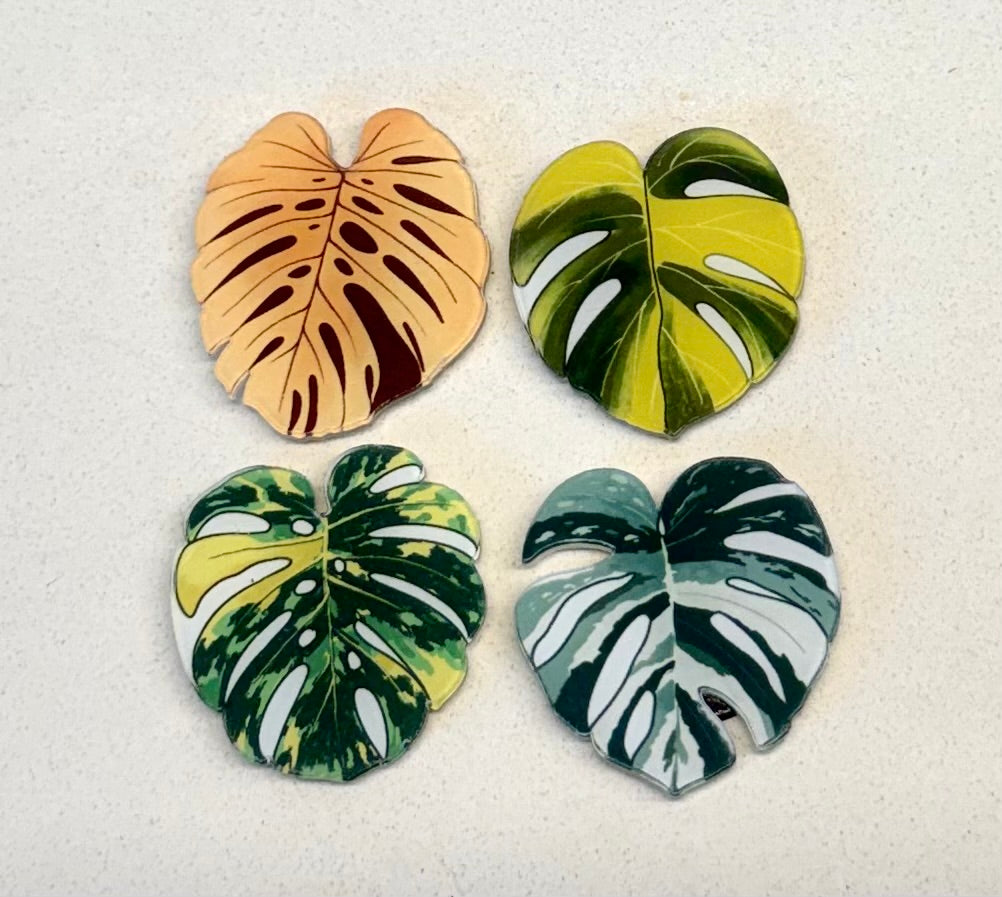 Monstera fridge magnet(Only redeem pls do not buy)sent randomly