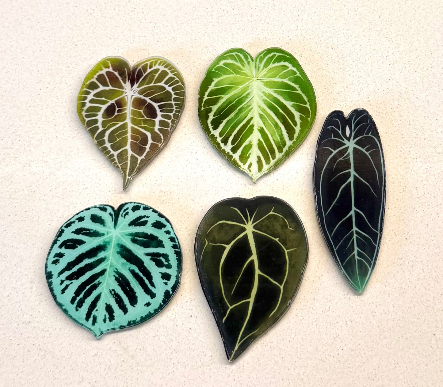 Anthurium fridge magnet(Only redeem pls do not buy )sent randomly