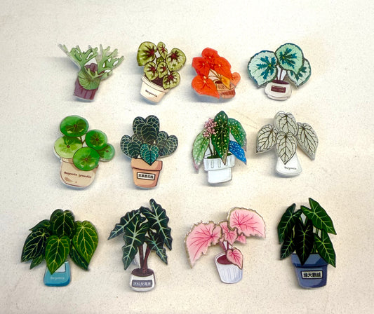 Plants Brooch（Only redeem pls do not buy）sent randomly