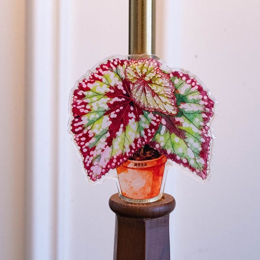 💜Begonia “M&M” Fridge magnet🩷
