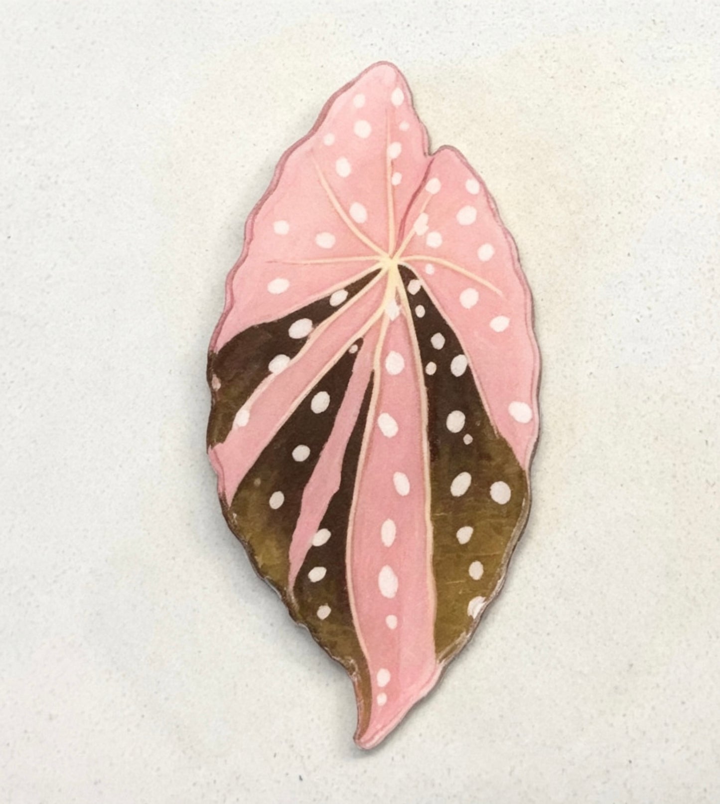 💜Begonia fridge magnet🩷