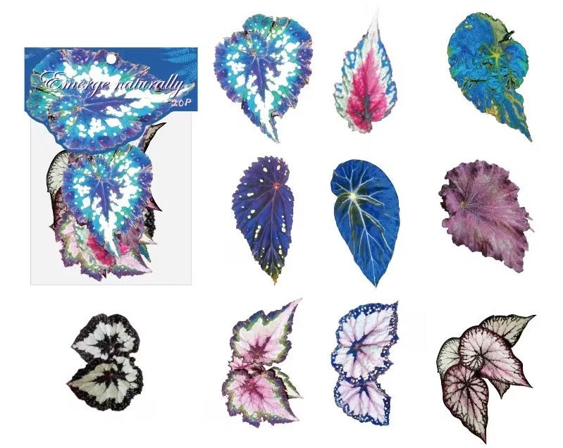 💜 Begonia sticker 🩷