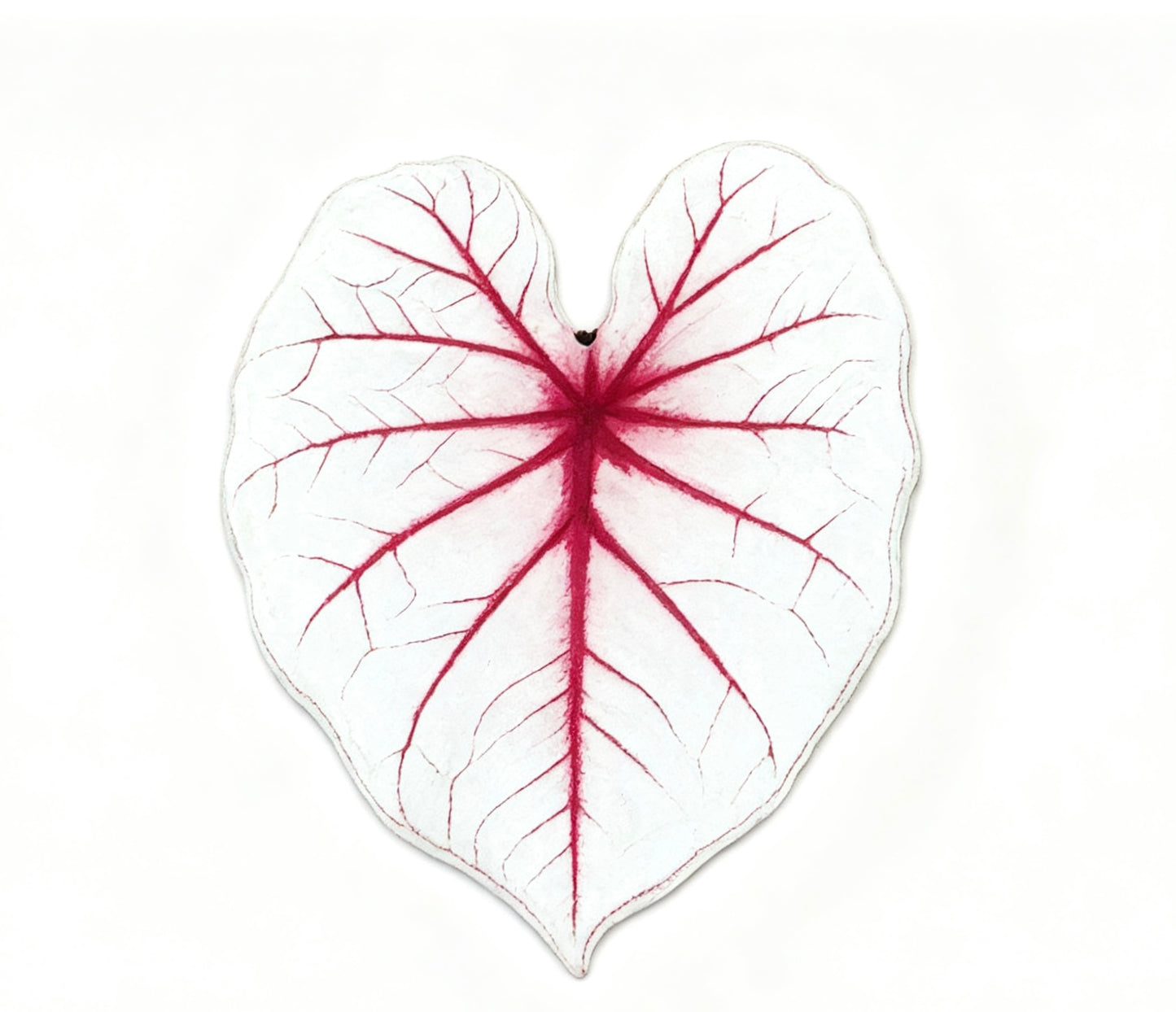 💜Caladium fridge magnet🩷