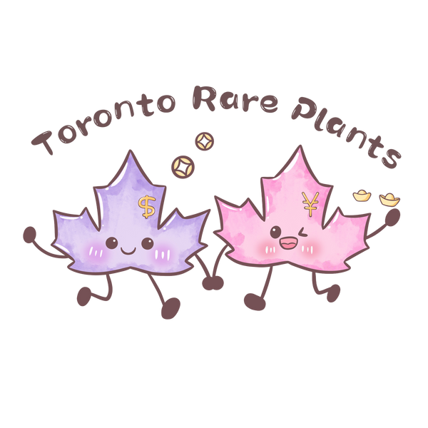 Toronto Rare Plants